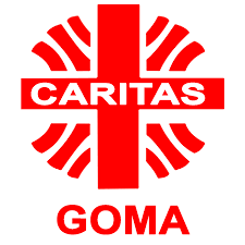 Logo caritas.png